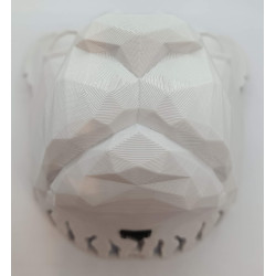 Lion avec crinière lumineuse
