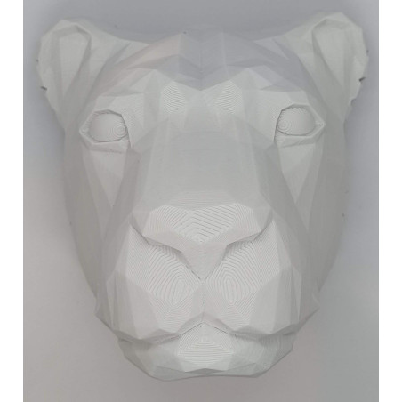 Lion avec crinière lumineuse