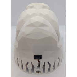 Lion avec crinière lumineuse